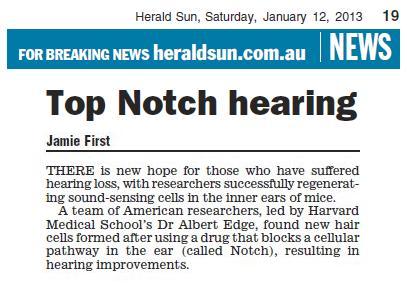 Herald Sun - Hearing Article (Print) 2