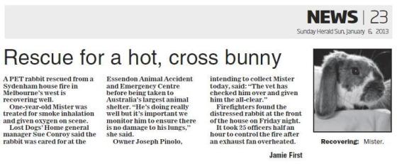 Herald Sun - Sydenham Rabbit Article (Print) 2