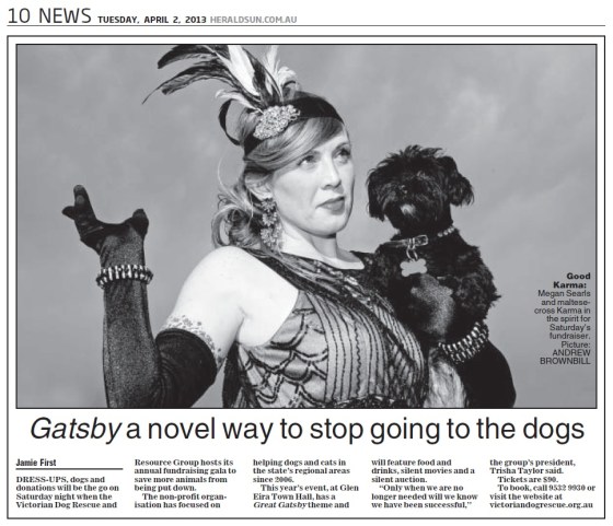 Victorian Dog Rescue