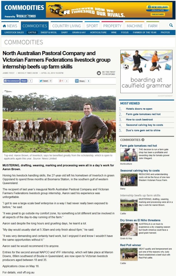 VFF Internship - ONLINE