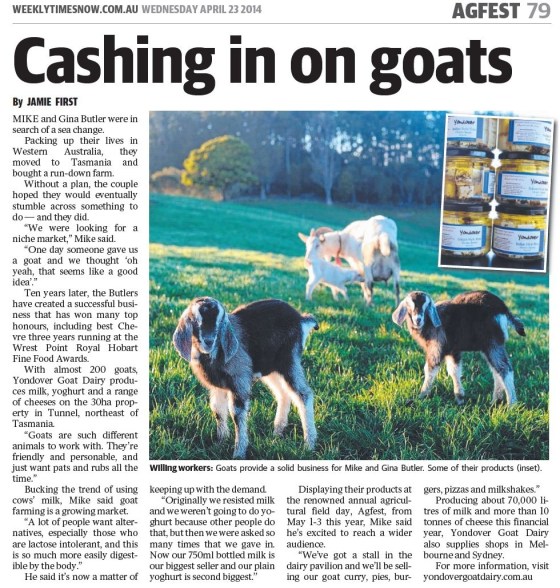 Yondover Dairy Farm - PRINT